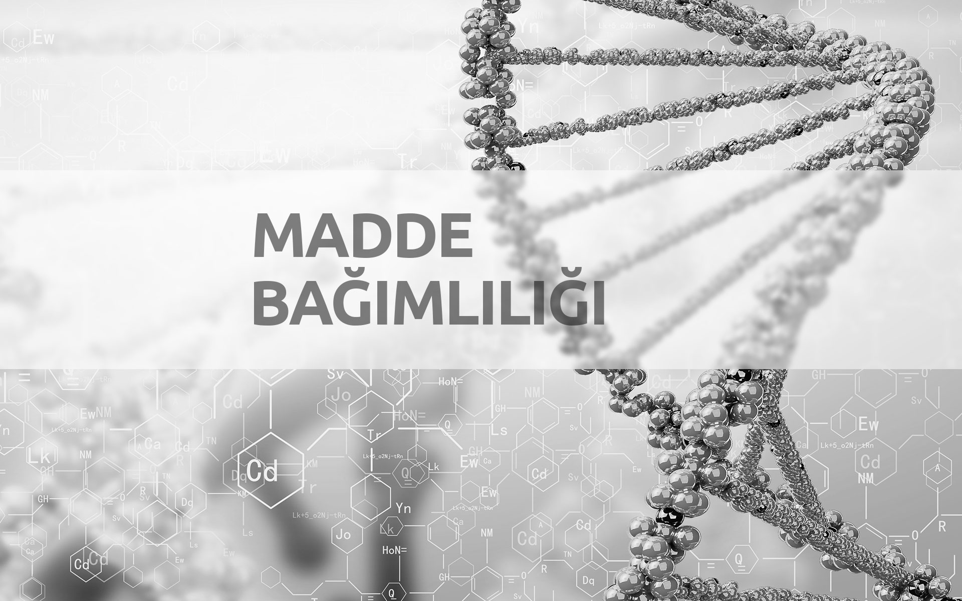 Madde Bağımlılığı